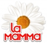 LA MAMMA, торговая компания
